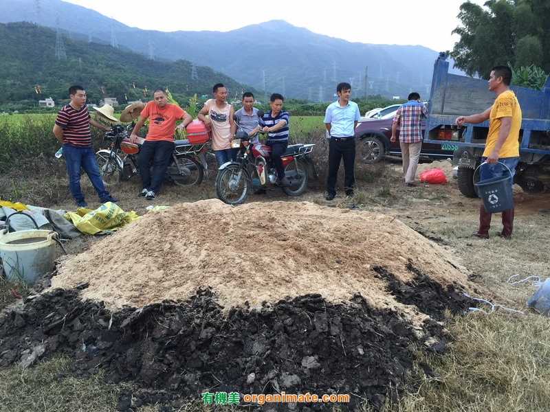 廣東惠東白雲村組織村民使用亞聯微(wēi)生(shēng)物(wù)肥進行(xíng)堆肥