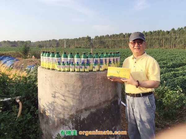 美國亞聯微(wēi)生(shēng)物(wù)肥Bio1One 等菌劑産品在廣東雷州半島優質番薯基地的(de)廣泛推廣應用