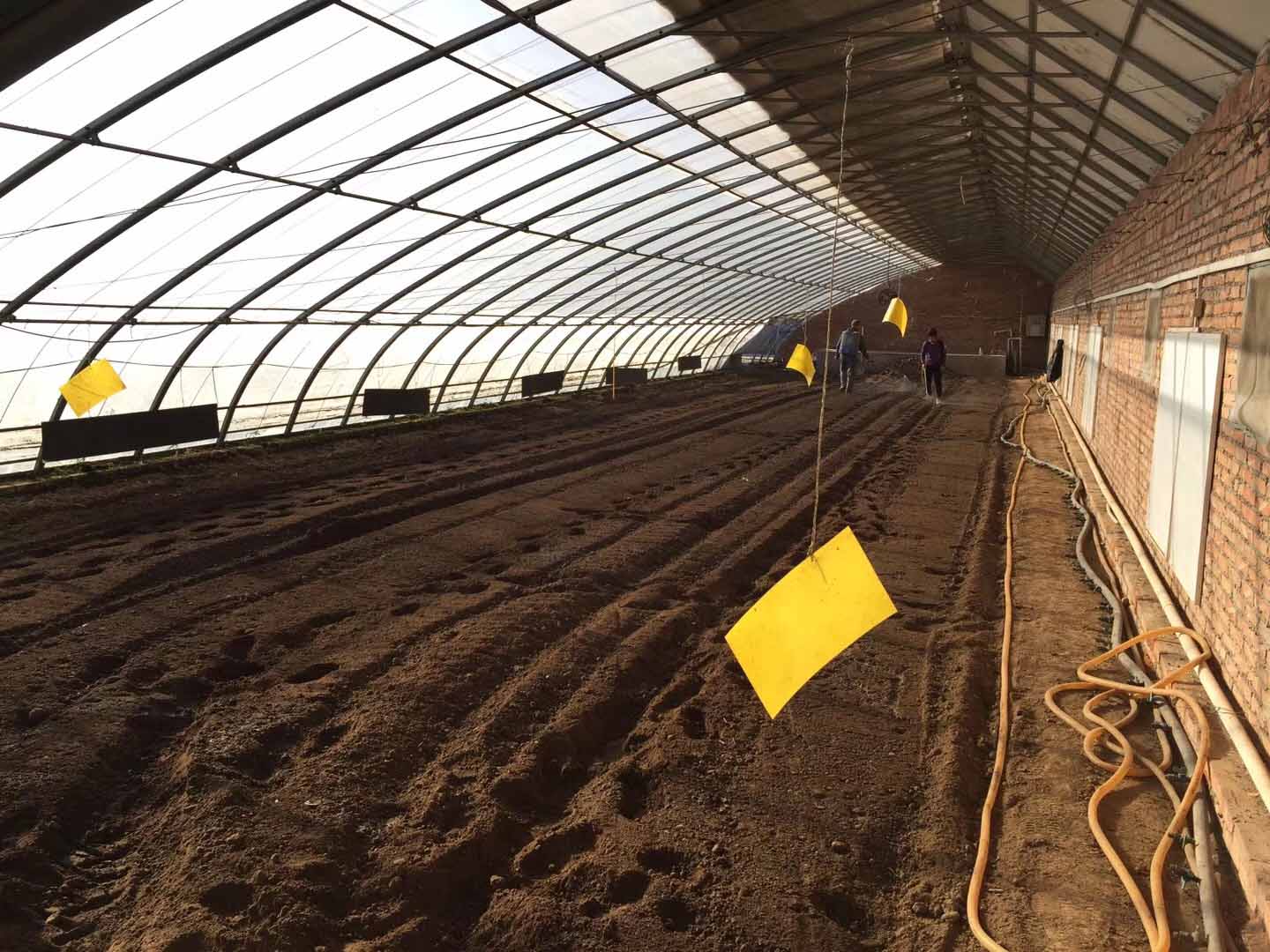 農業(yè)生(shēng)産化肥施用現狀:如(rú)有補貼農民願用有機肥