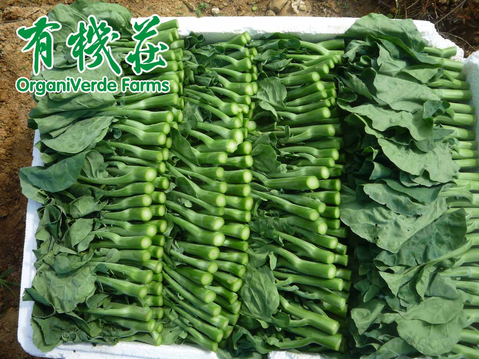 關于有機的(de)迷思