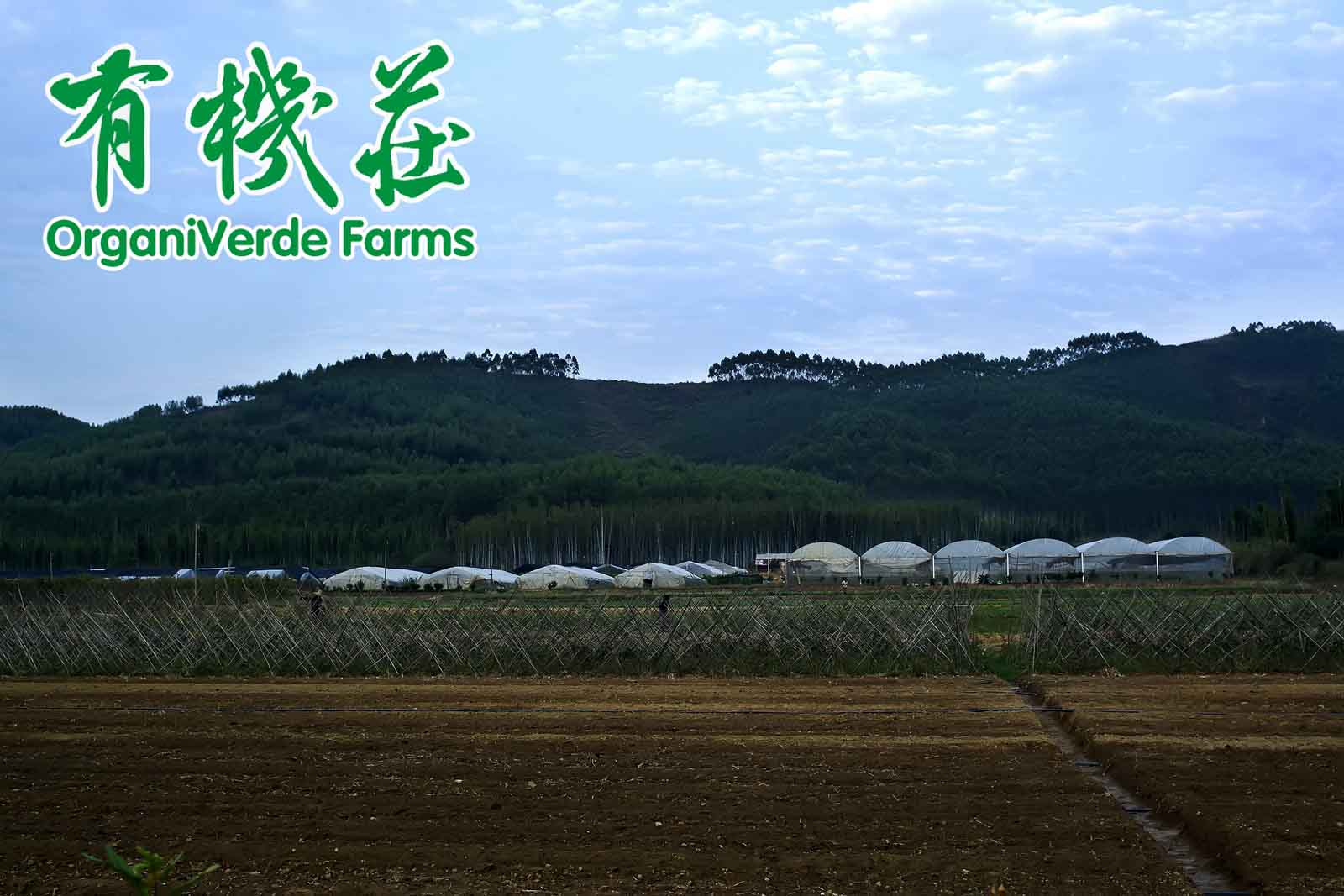 生(shēng)物(wù)有機肥與農家(jiā)肥有什(shén)麽區别
