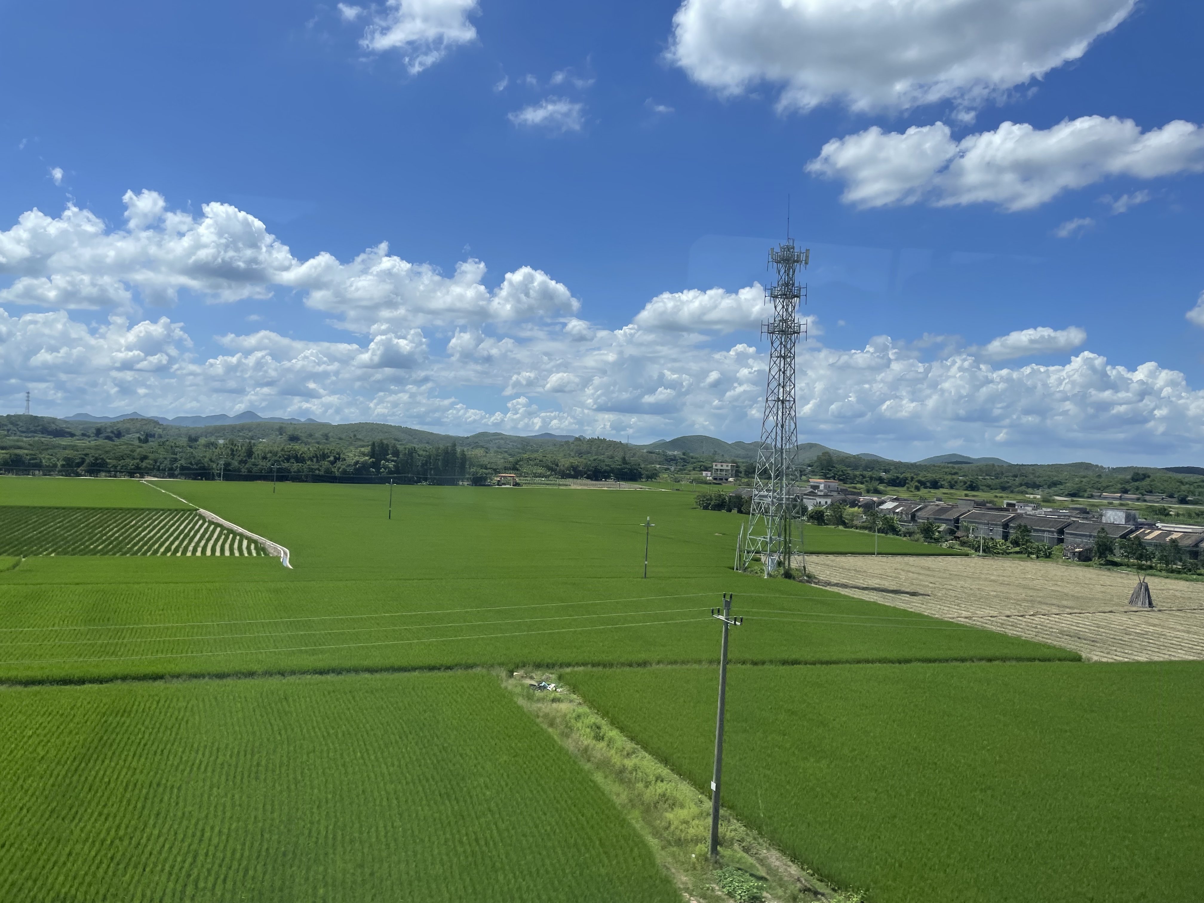 廣東積極推動綠(lǜ)色農産品發展
